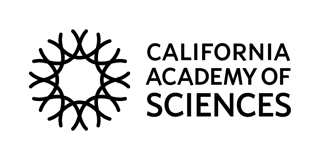 Academy_Logo-Horizontal-Black