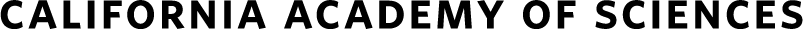 email_header-cas_header